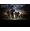 Halomaster117