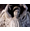 Weeping Angel