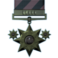 Distinguished Service.png