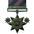 Distinguished tier 6.png