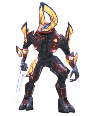 Sangheili HG 01.png