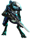 H4 profile - JackalRanger.png