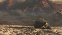 SPARTAN-B312 - Character - Halopedia, the Halo wiki