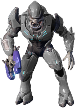 sangheili stealth halopedia halo covenant