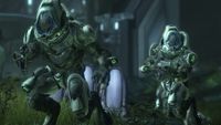 Sangheili Ranger - Halopedia, the Halo wiki