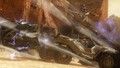Thumbnail for version as of 14:06, October 9, 2025