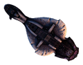 Thumbnail for version as of 06:43, January 30, 2013