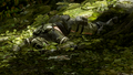 Thumbnail for version as of 13:30, July 19, 2025